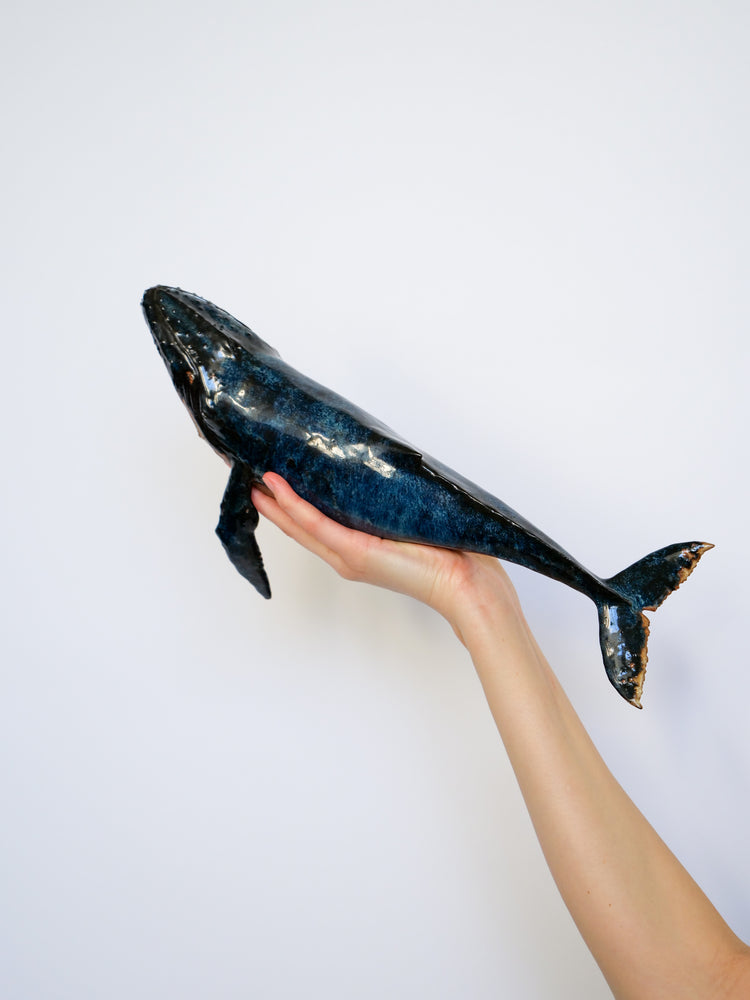 Whale Martin: Large, blue