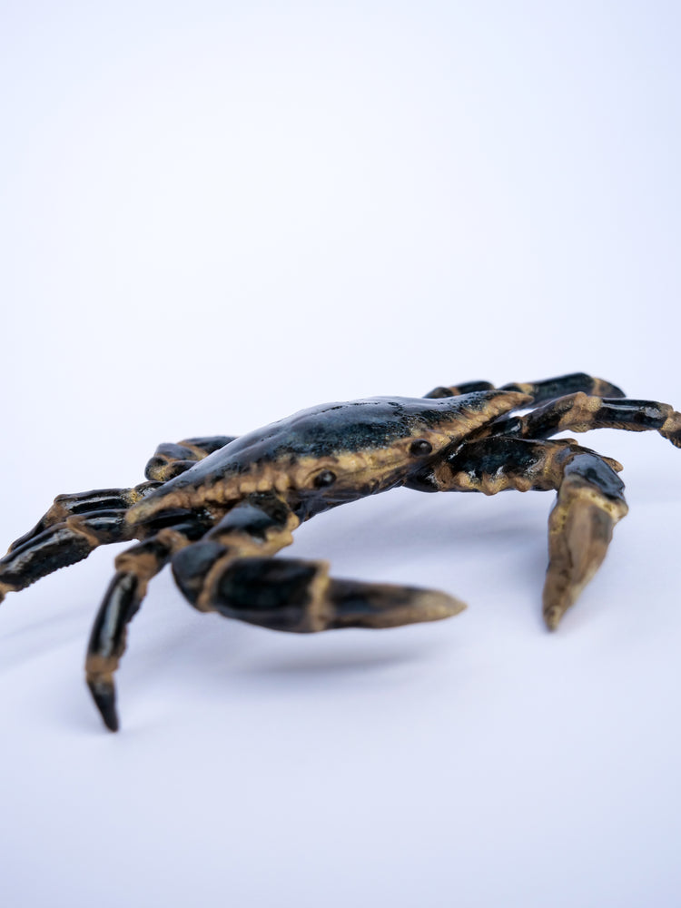 Crab Blue