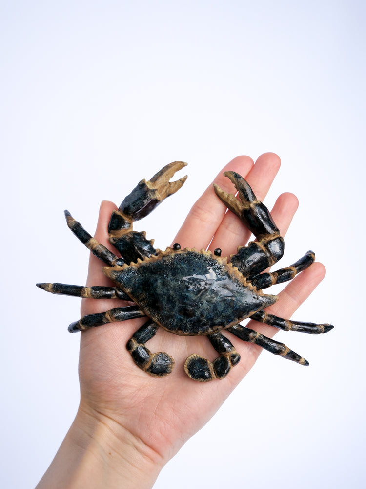 Crab Blue