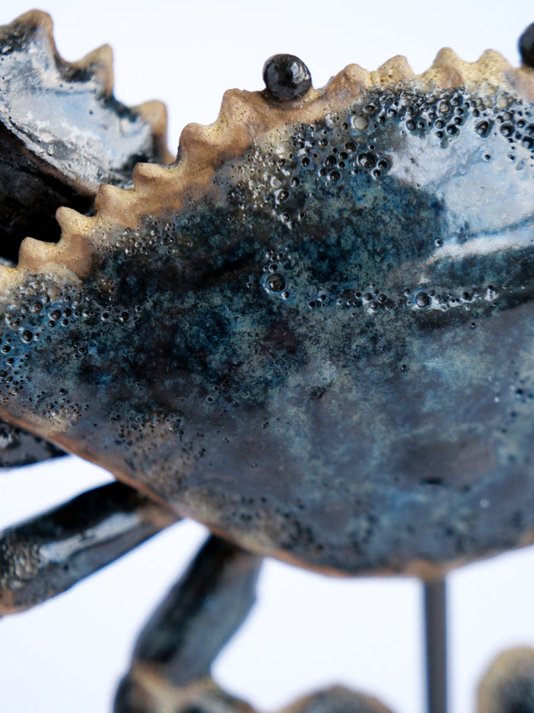 Crab Blue
