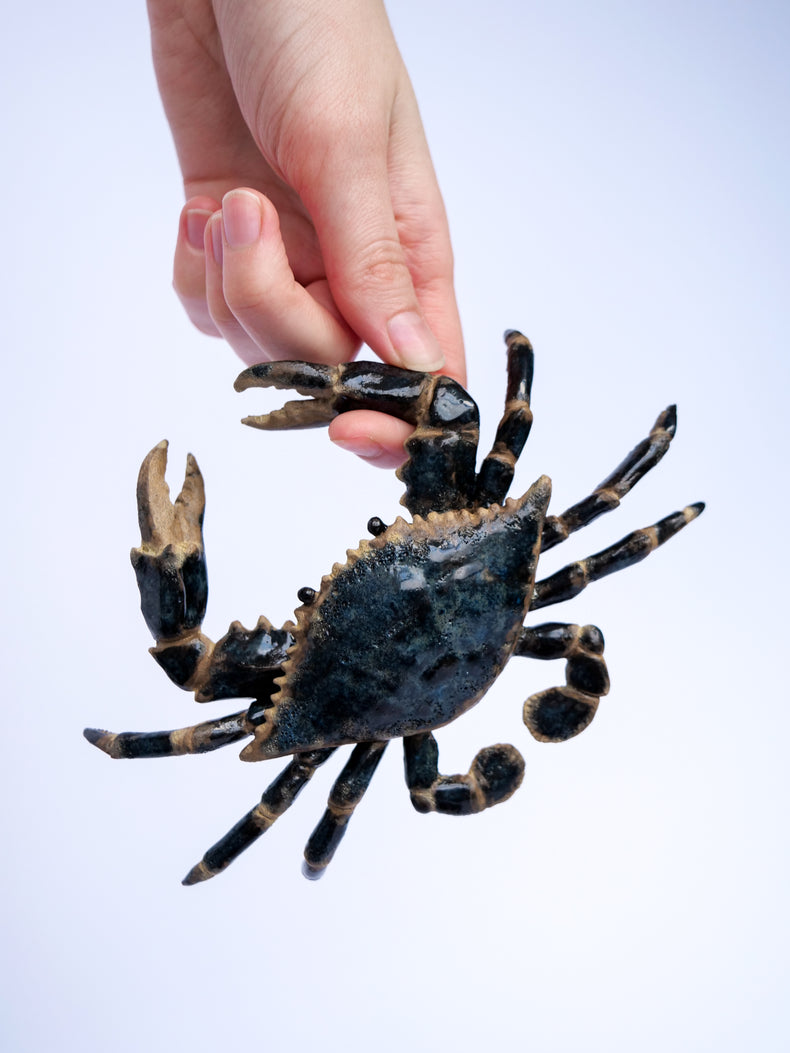 Crab Blue