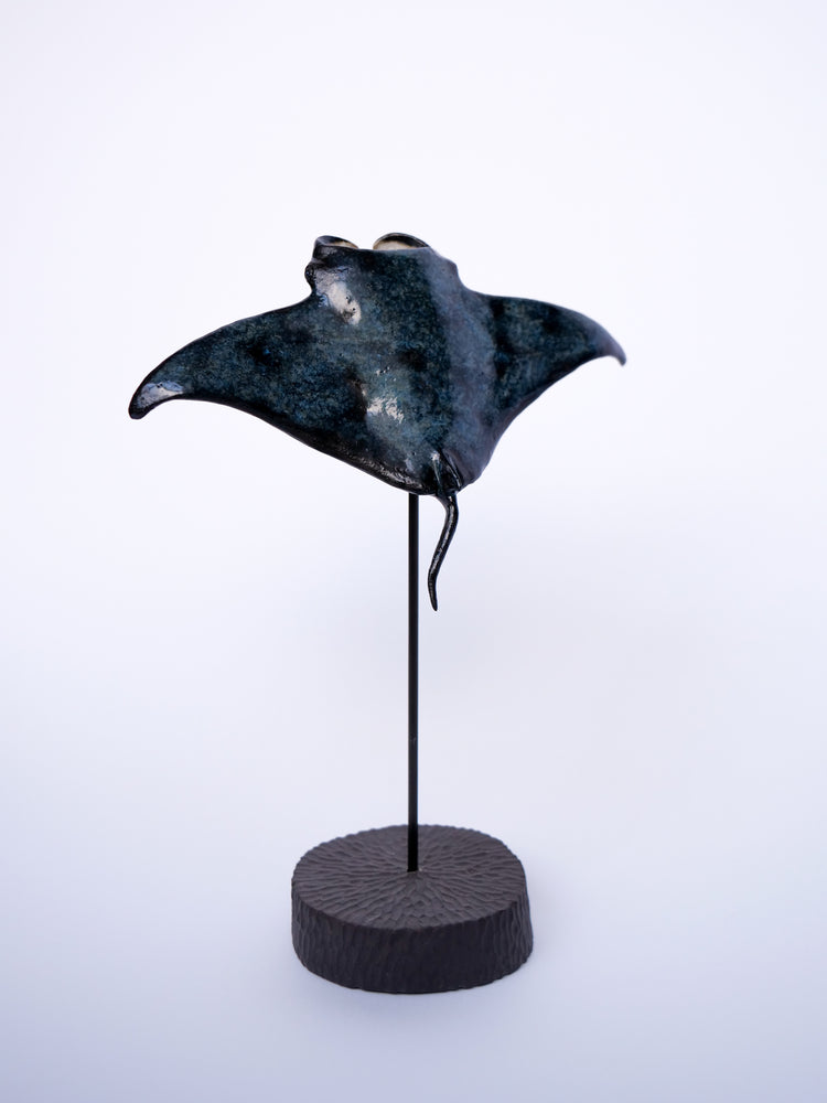 Manta ray Keanu