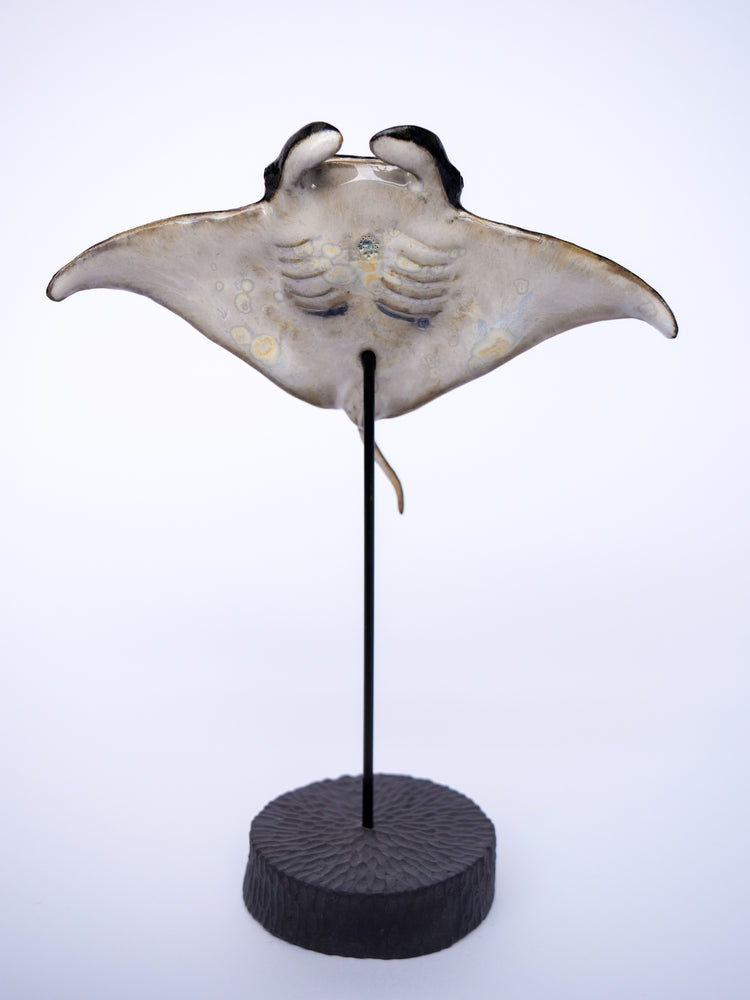 Manta ray Keanu