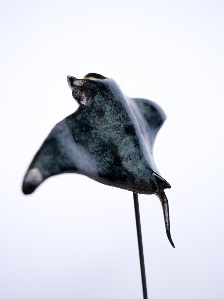 Manta ray Keanu