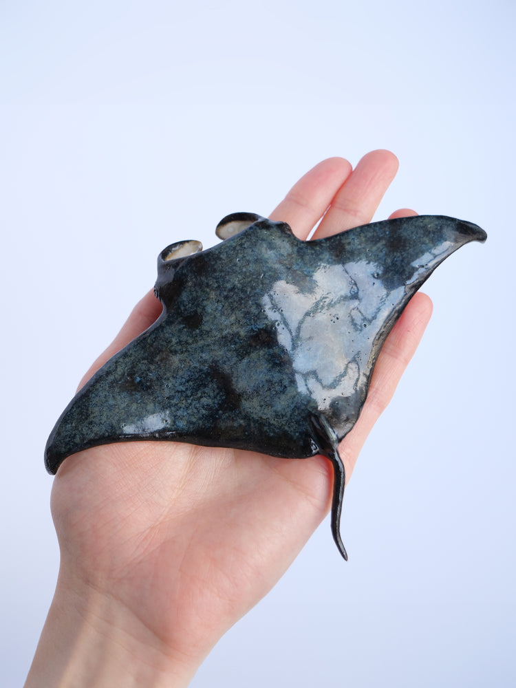Manta ray Keanu