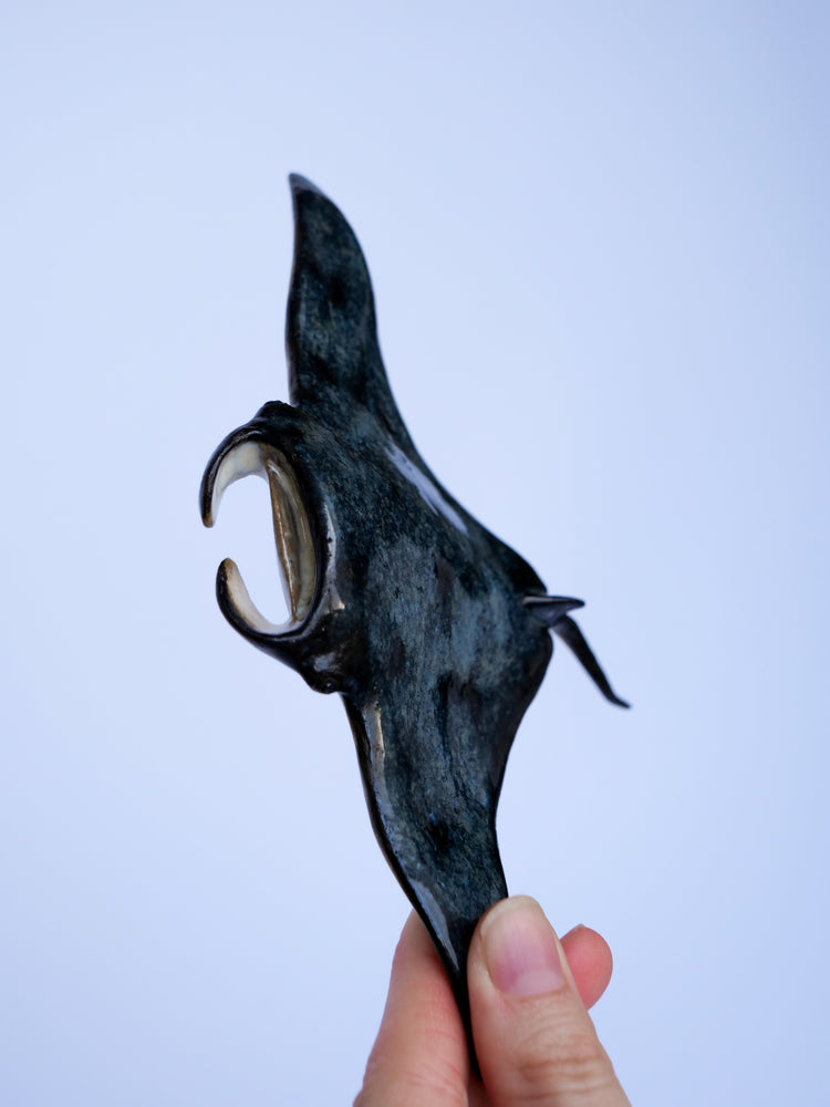 Manta ray Keanu