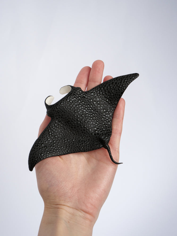 Manta rays: Black Brilliant couple