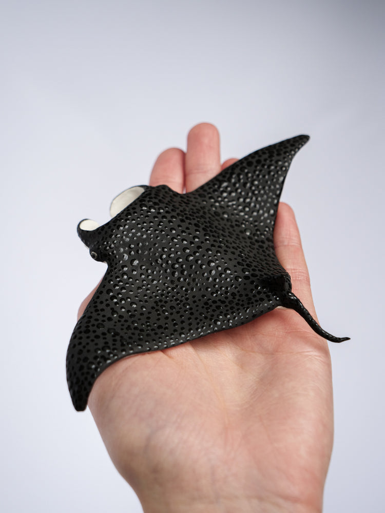 Manta rays: Black Brilliant couple