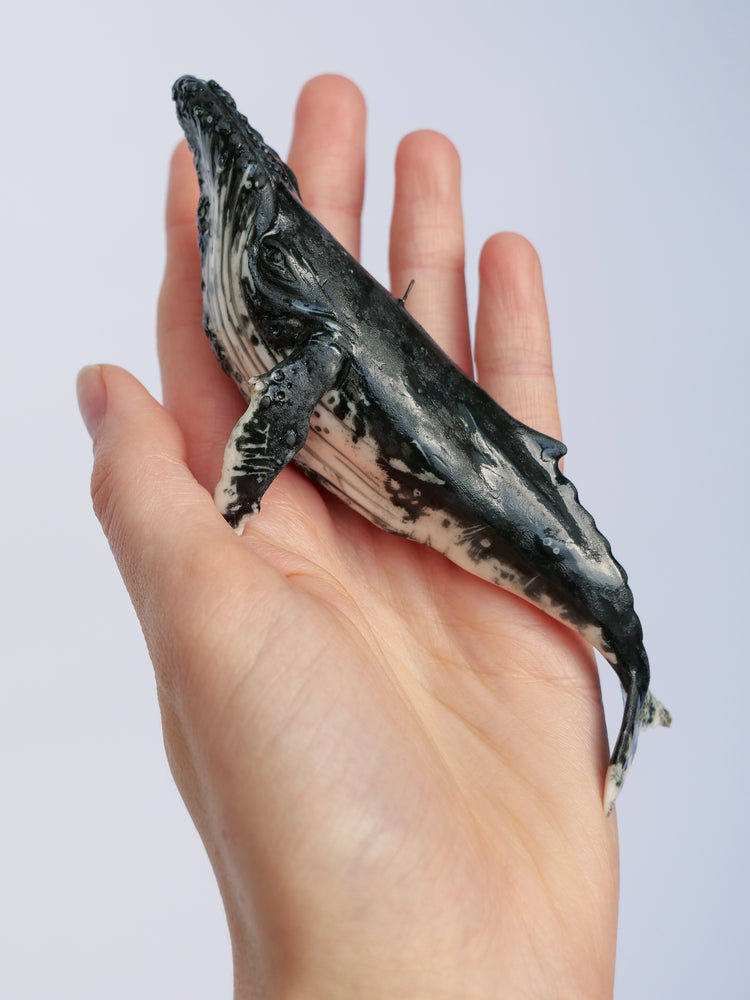 Whale Sammy: small, black & white, hanging