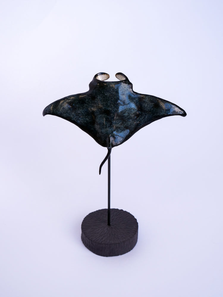 Manta ray Keanu