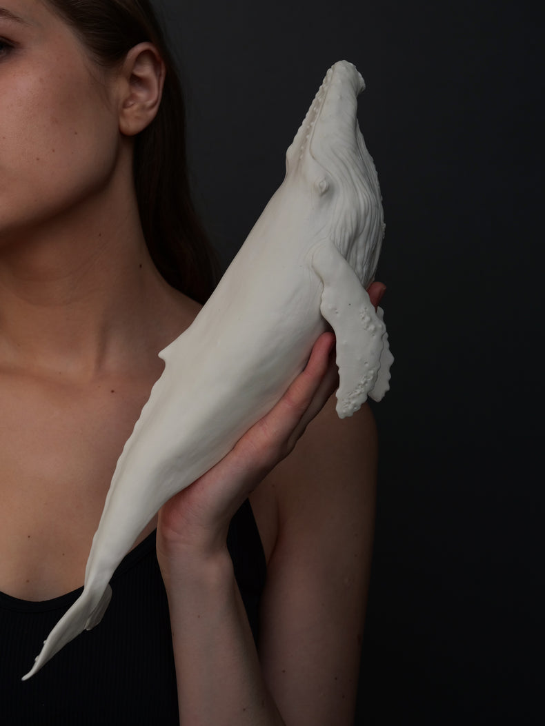 Whale David: porcelain, white matte, large