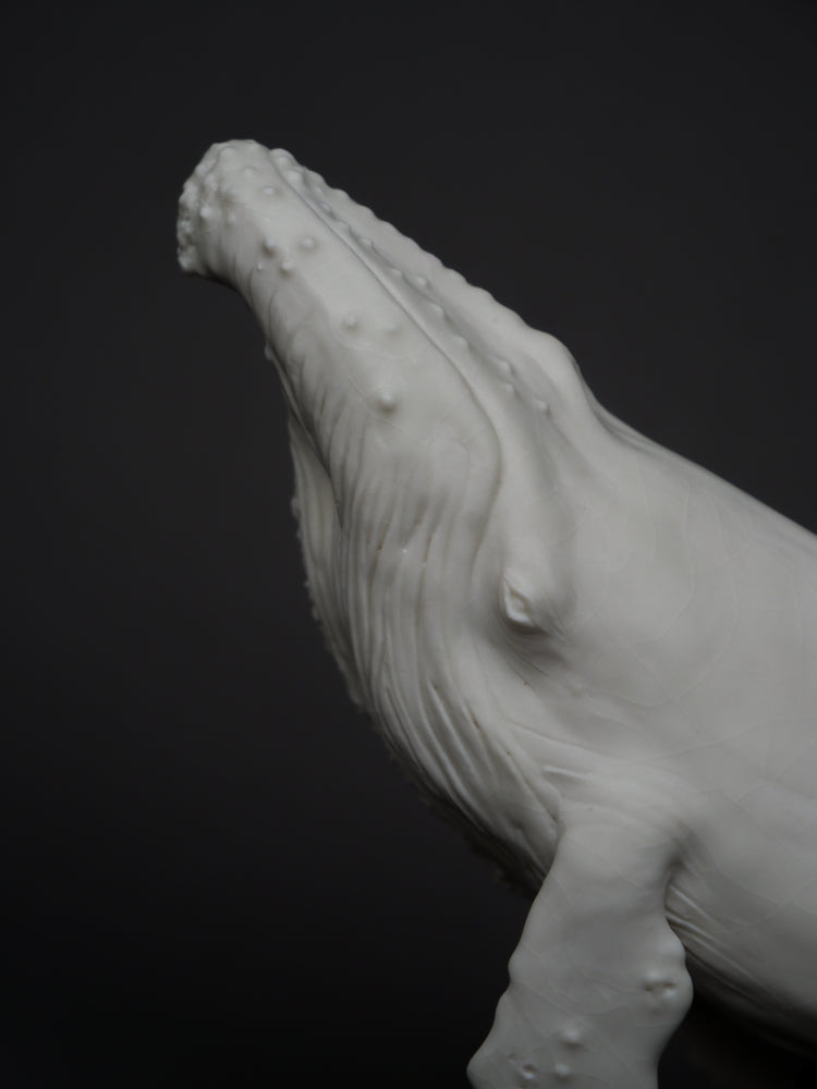 Whale David: porcelain, white matte, large