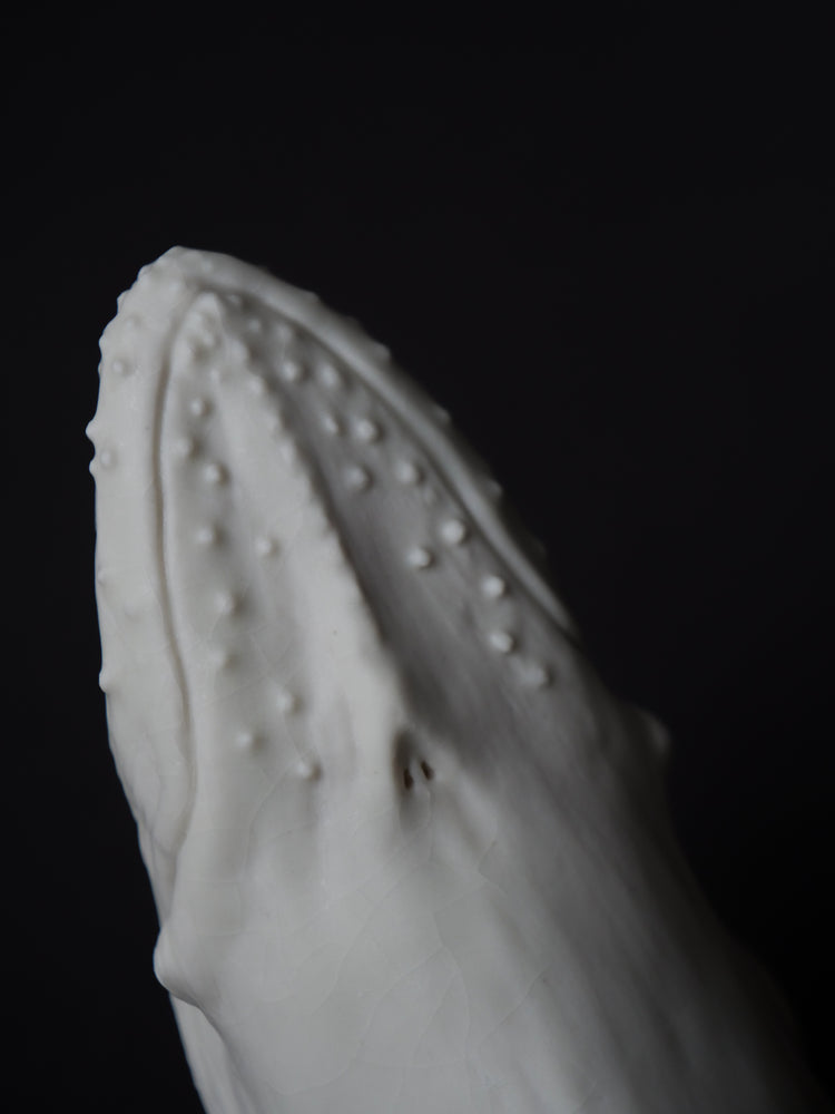 Whale David: porcelain, white matte, large