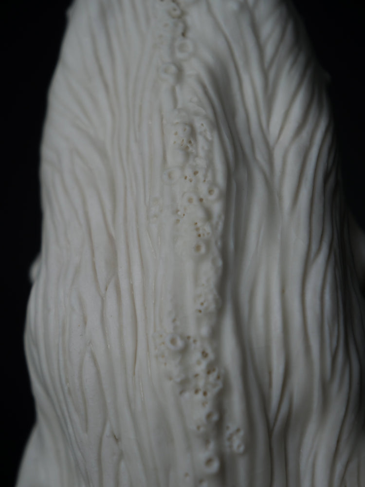 Whale David: porcelain, white matte, large