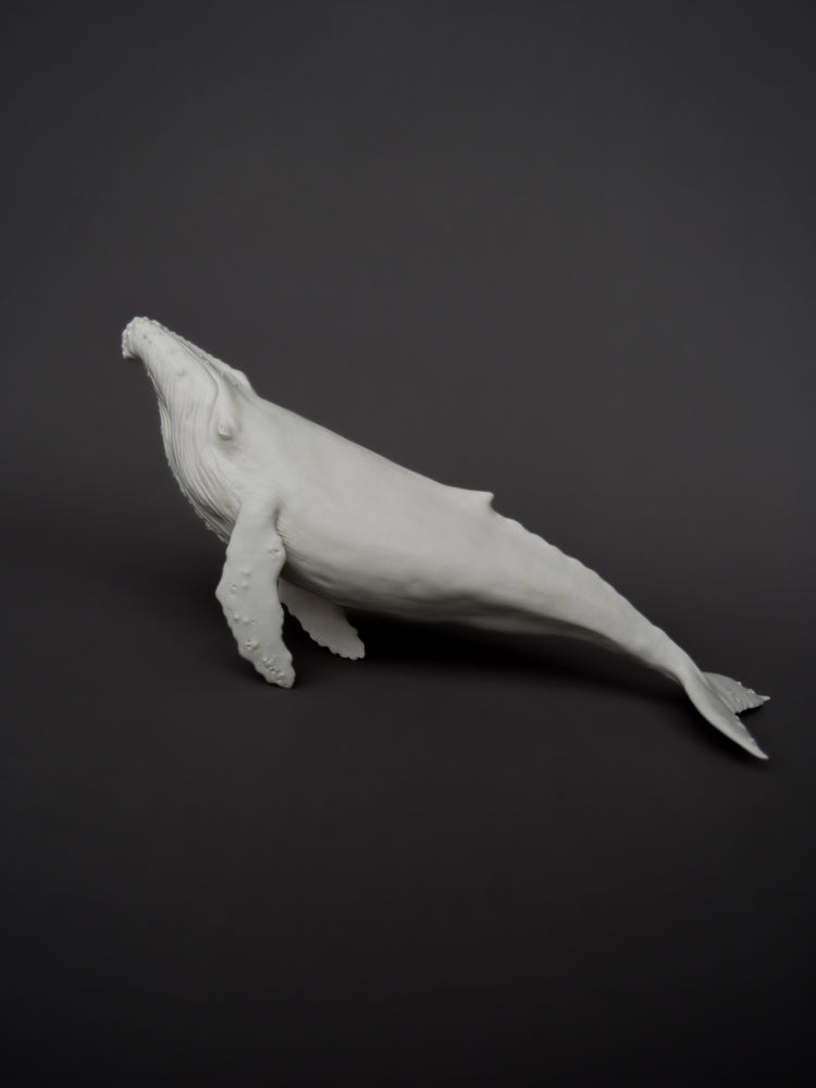 Whale David: porcelain, white matte, large