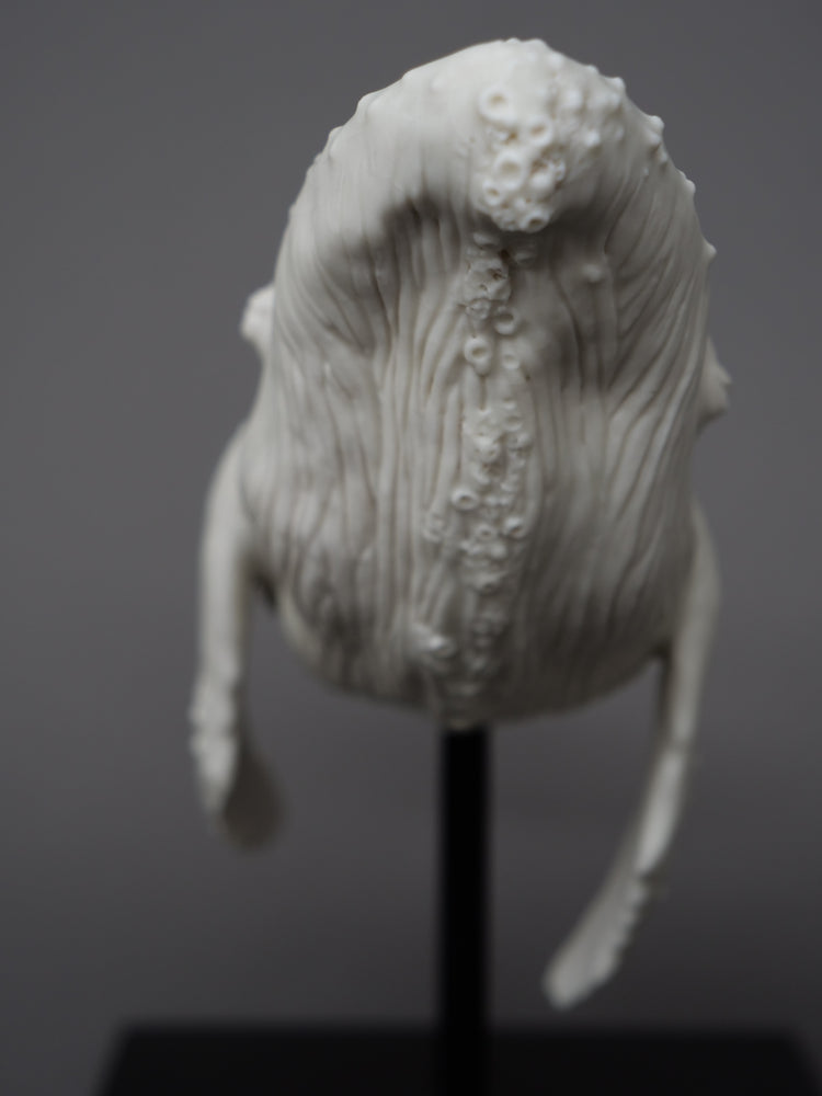 Whale David: porcelain, white matte, large