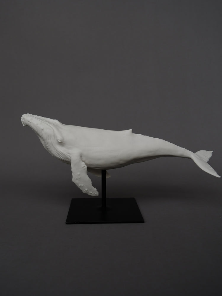 Whale David: porcelain, white matte, large