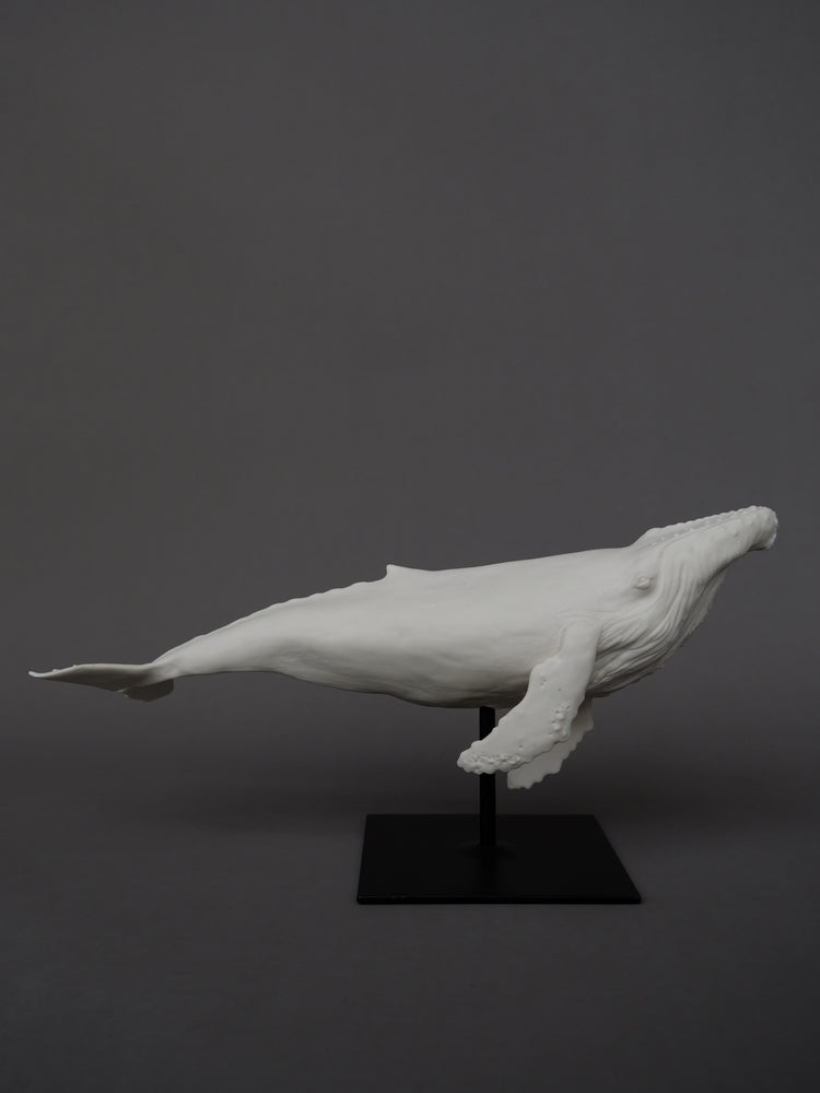 Whale David: porcelain, white matte, large