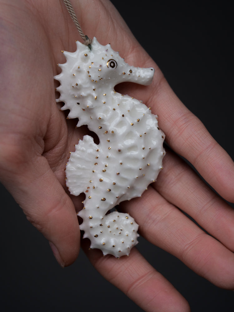 Seahorse Albert