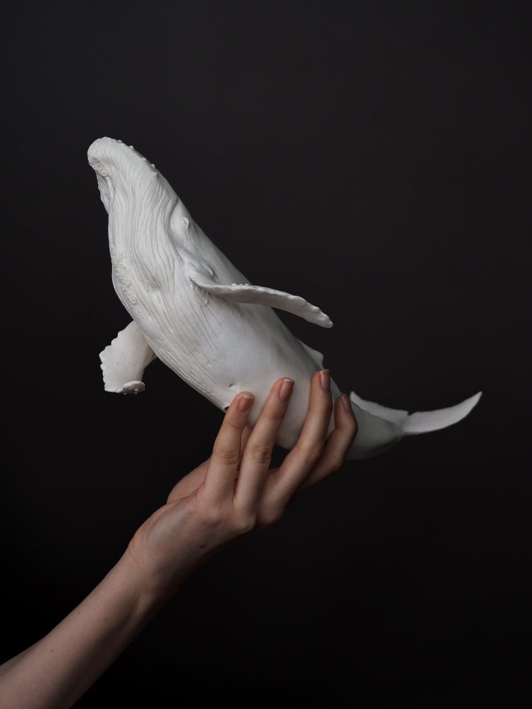 Zephyr