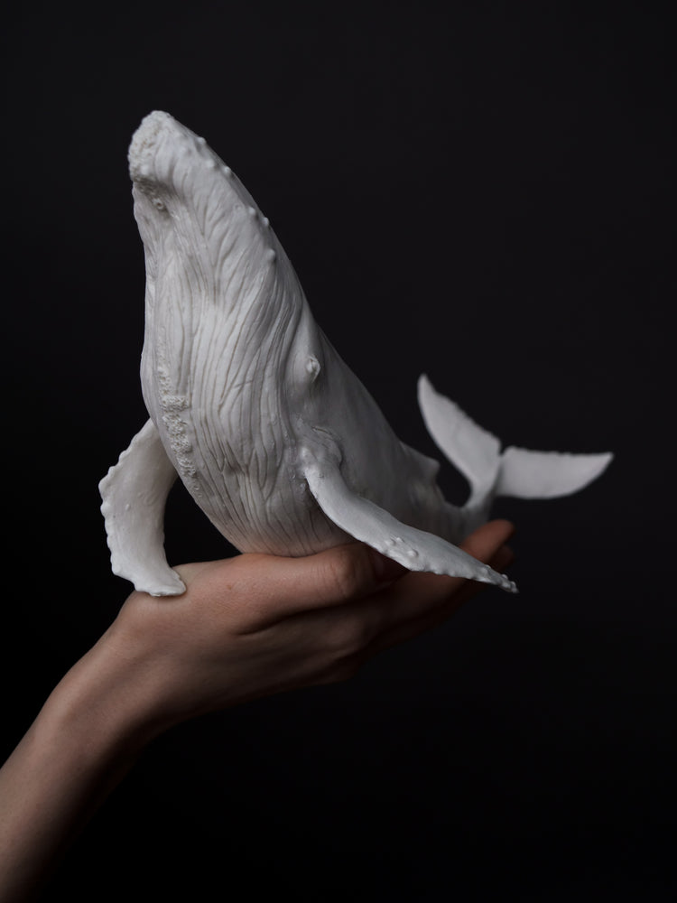 Zephyr