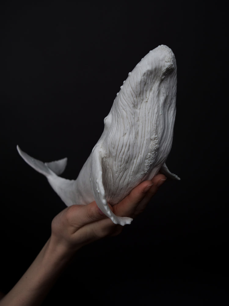 Zephyr