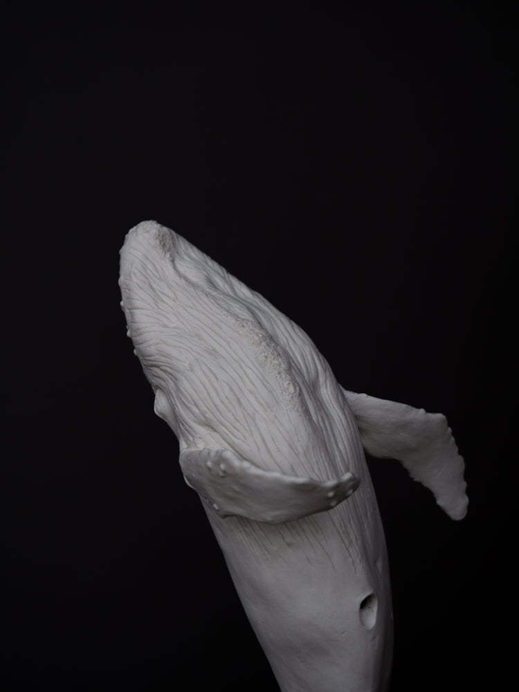 Zephyr