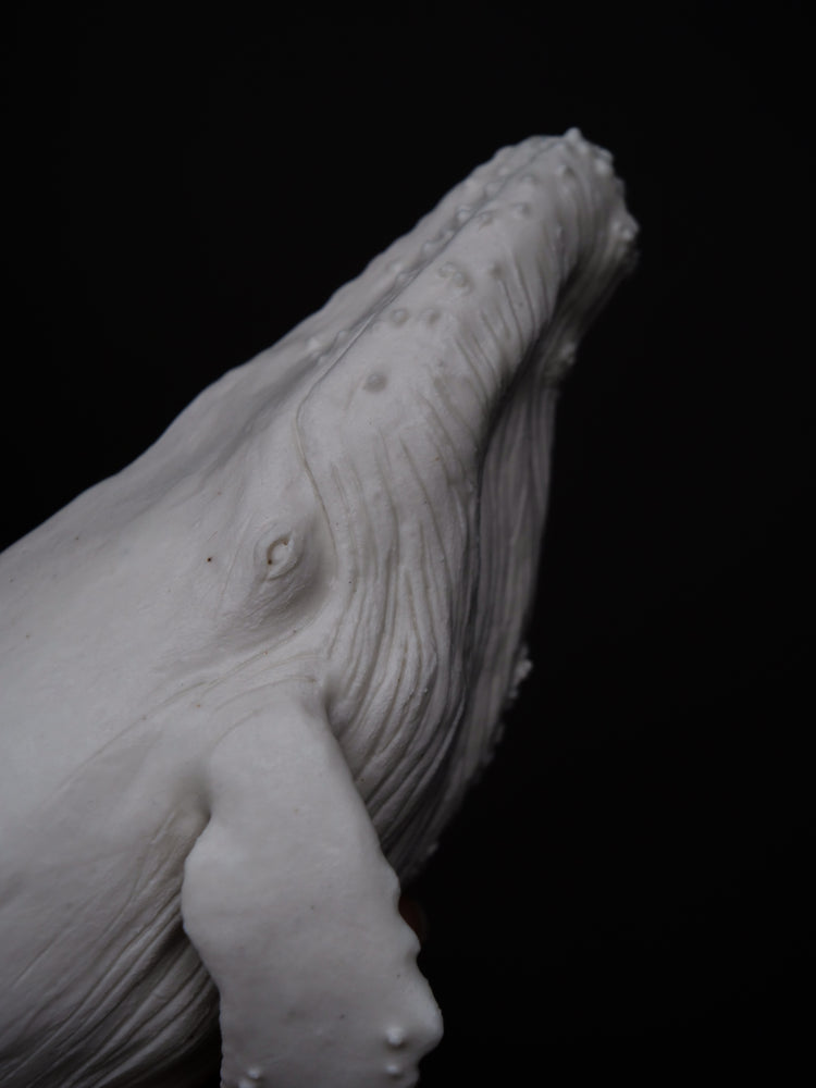 Aria - wall hanging humpback whale