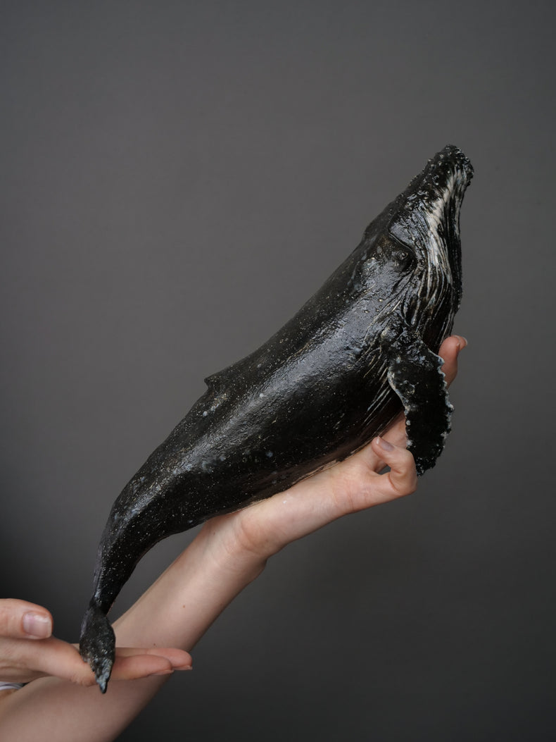 Pepper - wall hanging whale