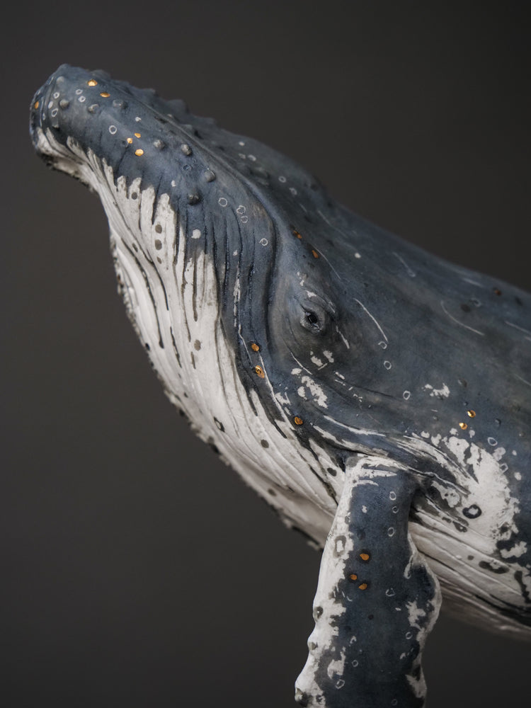 Talia - wall hanging humpback whale