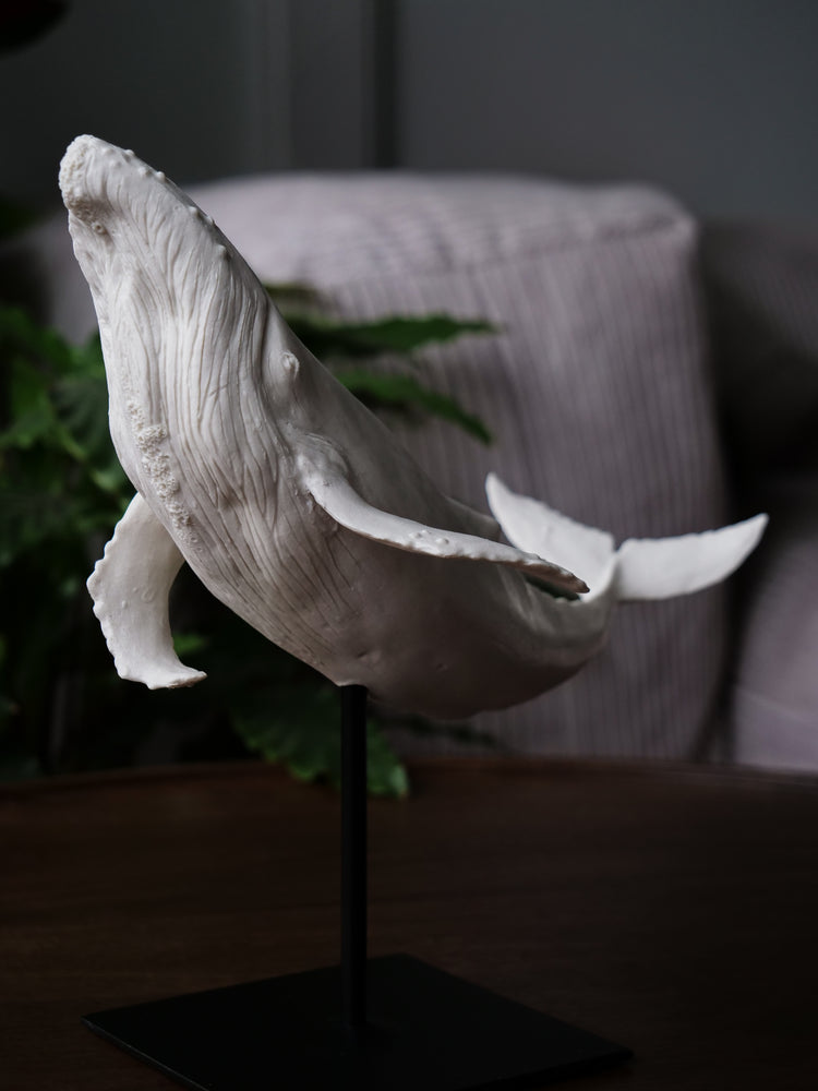Zephyr