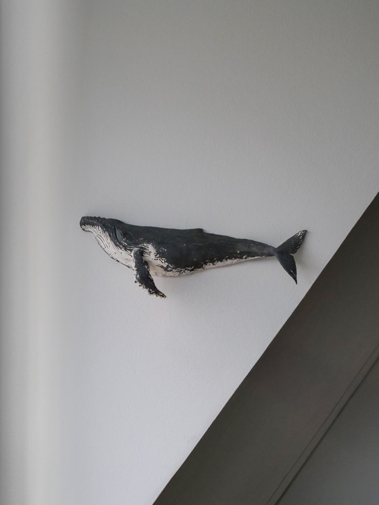 Carlos - wall hanging humpback whale