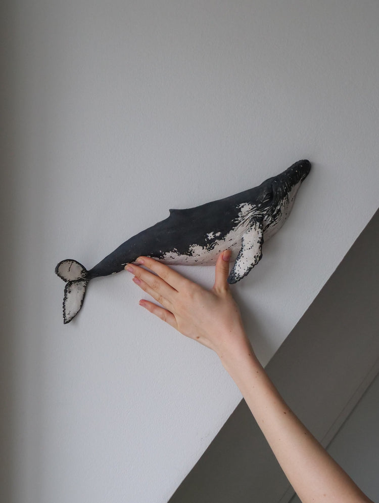 Carlos - wall hanging humpback whale
