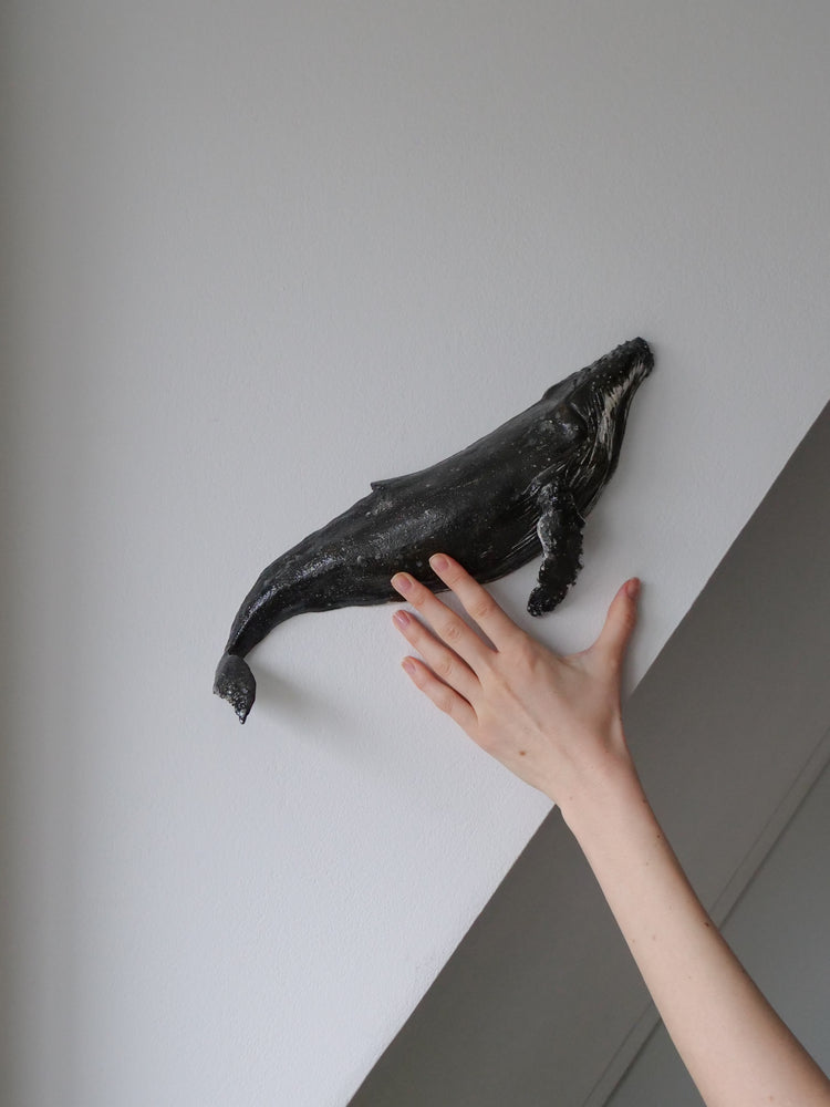 Pepper - wall hanging whale