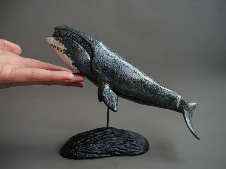 Fern: Greenland Whale