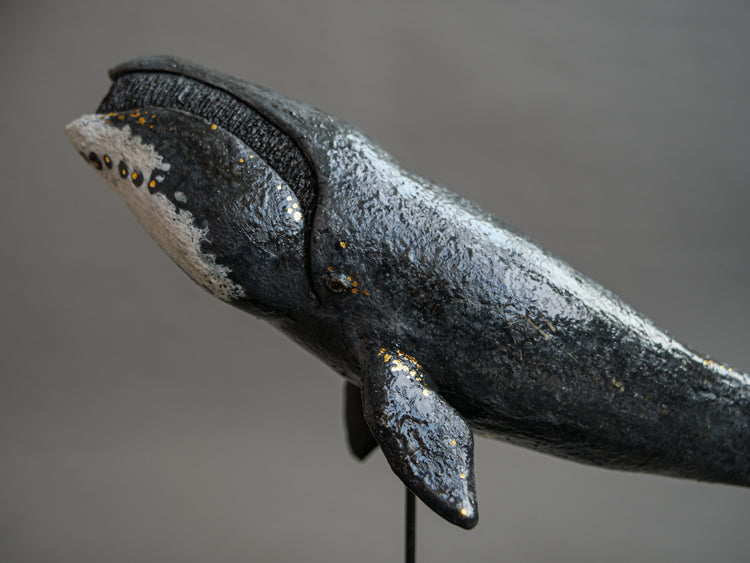 Fern: Greenland Whale