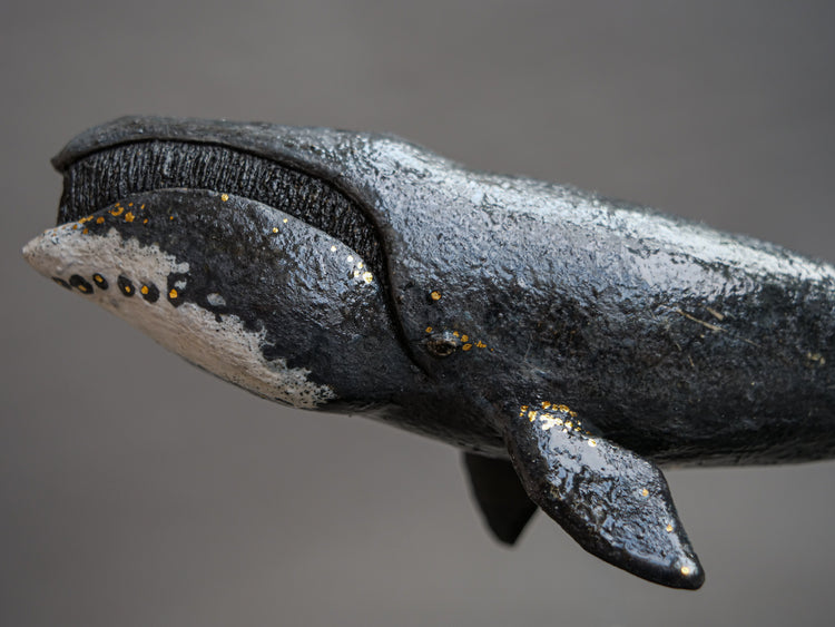 Fern: Greenland Whale