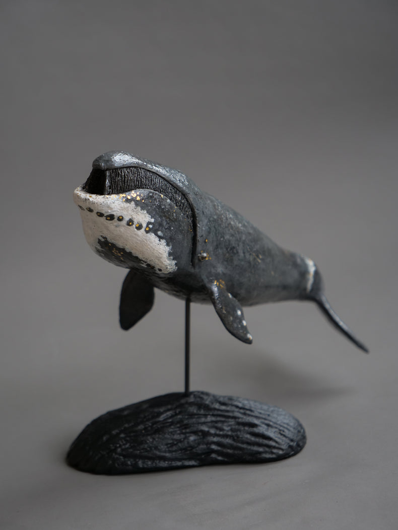 Fern: Greenland Whale
