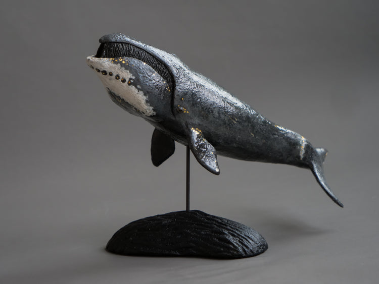 Fern: Greenland Whale