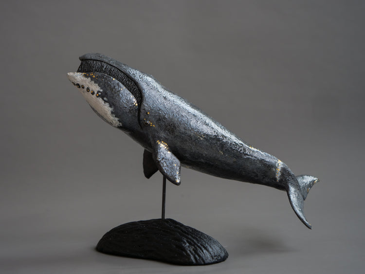 Fern: Greenland Whale