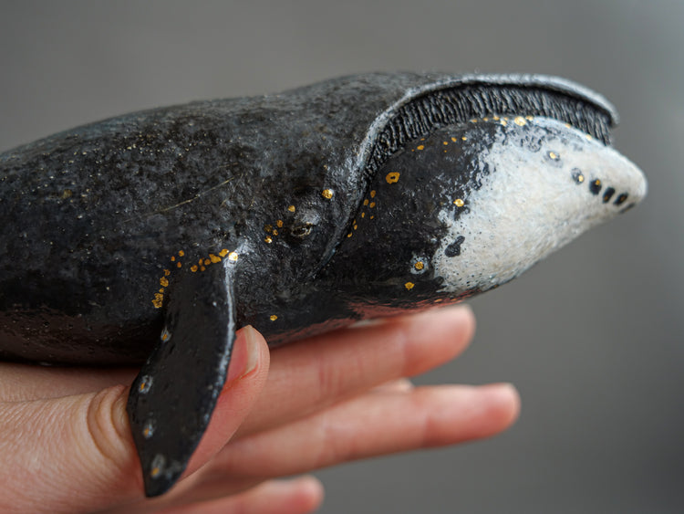 Fern: Greenland Whale