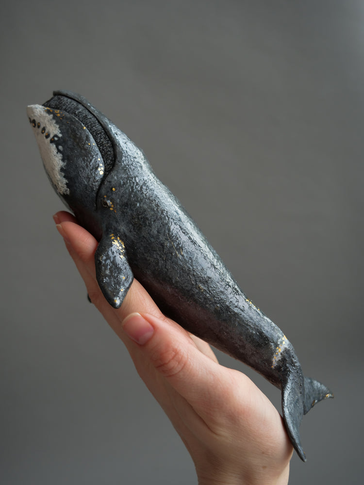 Fern: Greenland Whale
