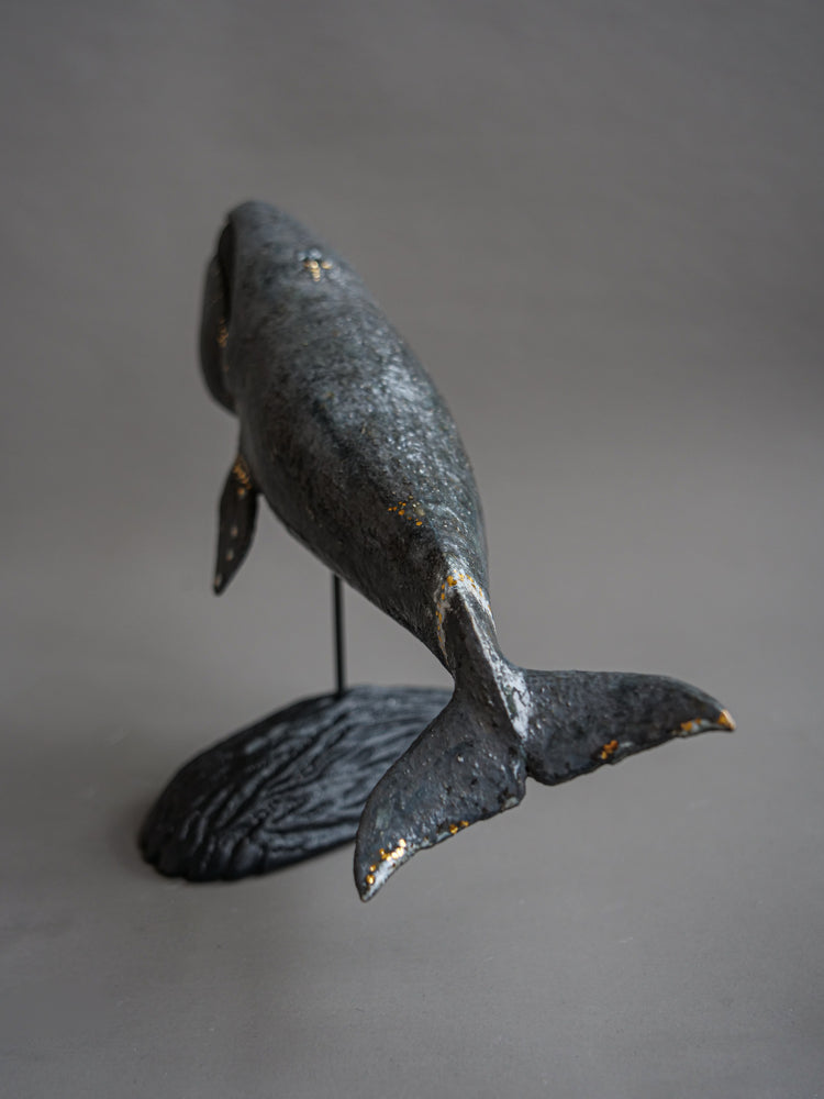 Fern: Greenland Whale