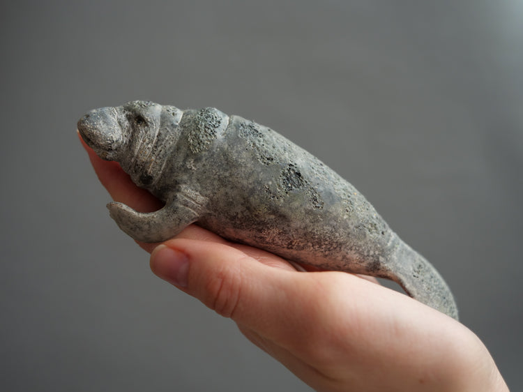 Carl & Ellie: Manatees Couple