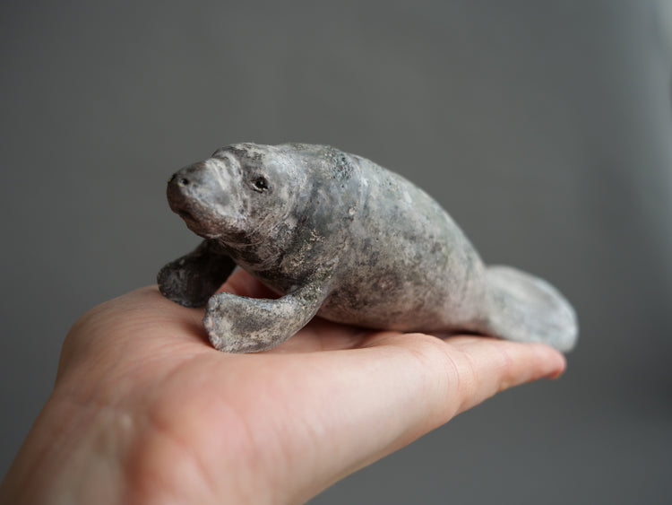 Carl & Ellie: Manatees Couple