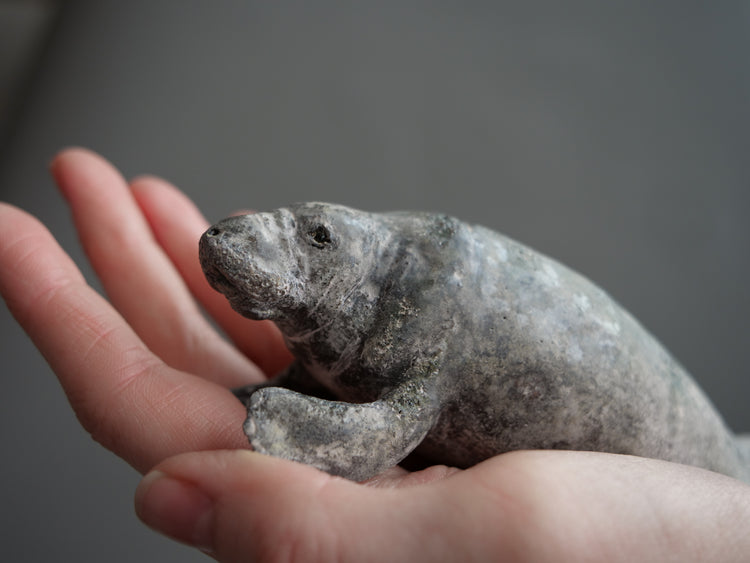Carl & Ellie: Manatees Couple