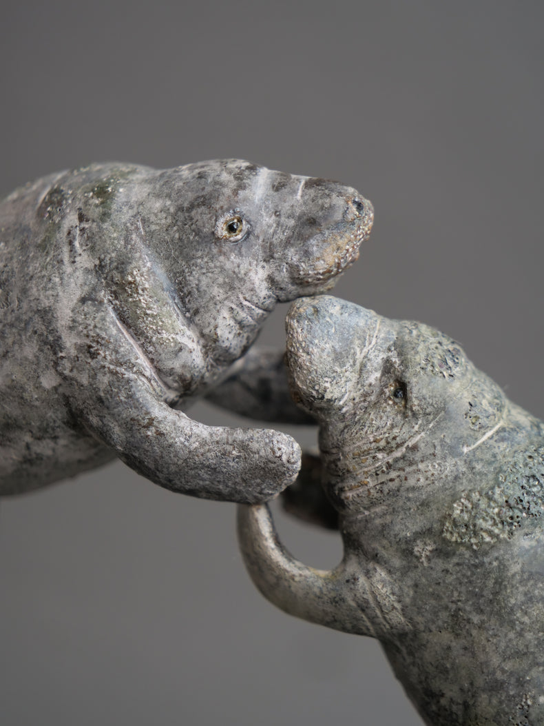 Carl & Ellie: Manatees Couple