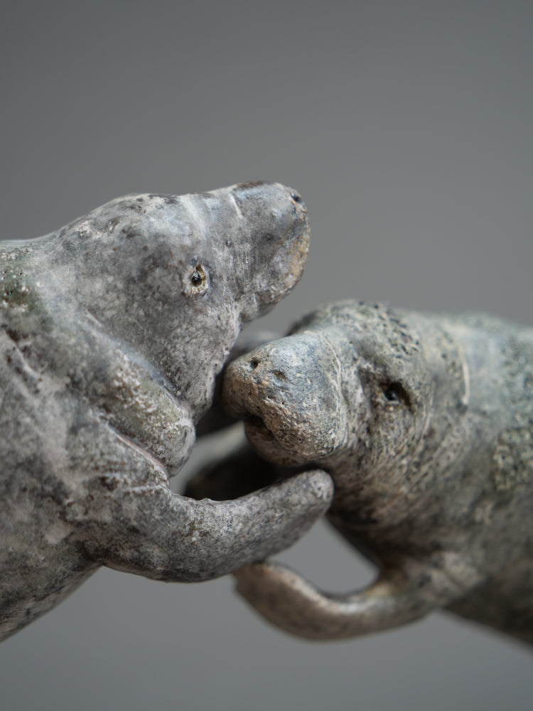 Carl & Ellie: Manatees Couple
