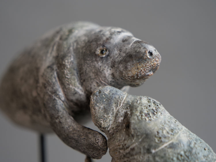 Carl & Ellie: Manatees Couple