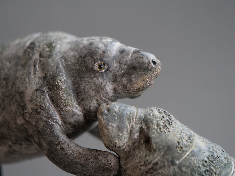 Carl & Ellie: Manatees Couple